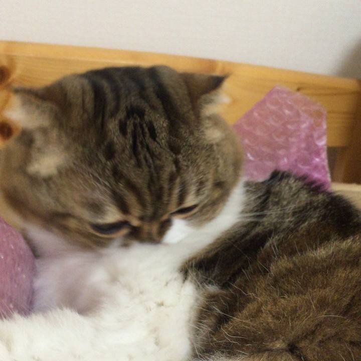 32501efe 0bfb 438b 873d 20bc051da5e5