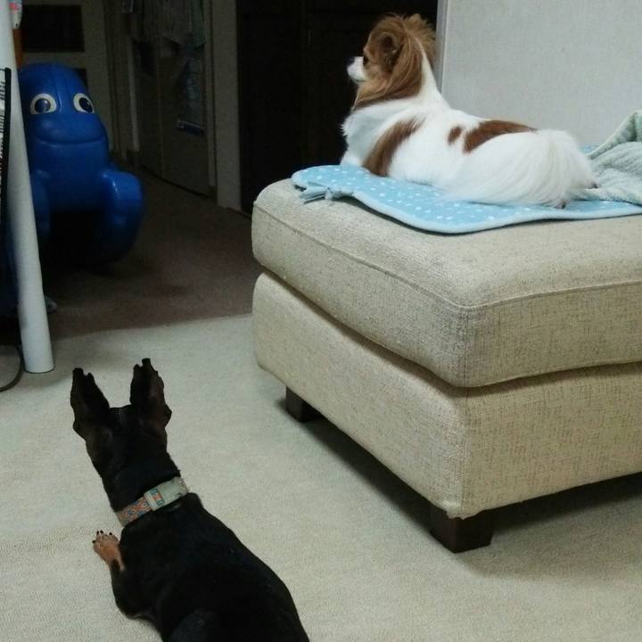 325076c5 94c9 4769 8b02 5118e2bd926e