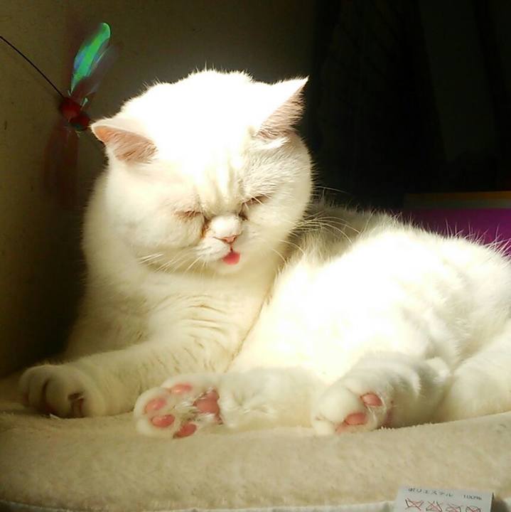 32509d01 281c 4d0e 9461 fd8a5314cdb8