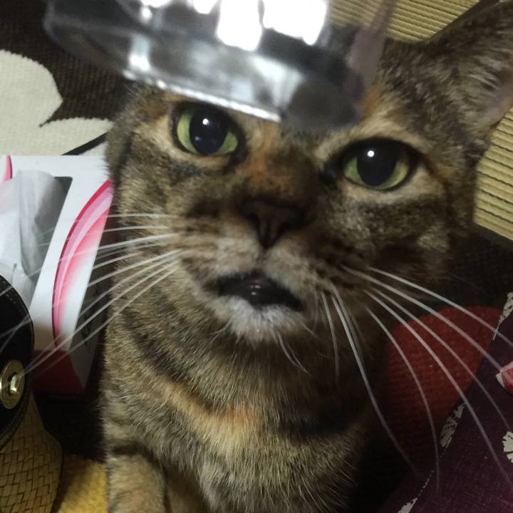 3250fa22 e8ab 475b 9364 bbcd54a4d819