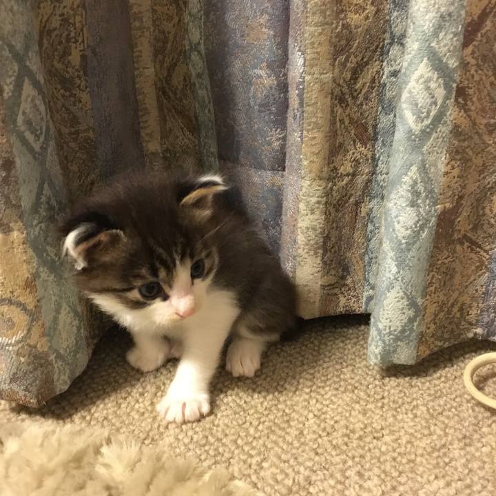 32513f60 1620 40c6 a771 2d3ce2179bdd