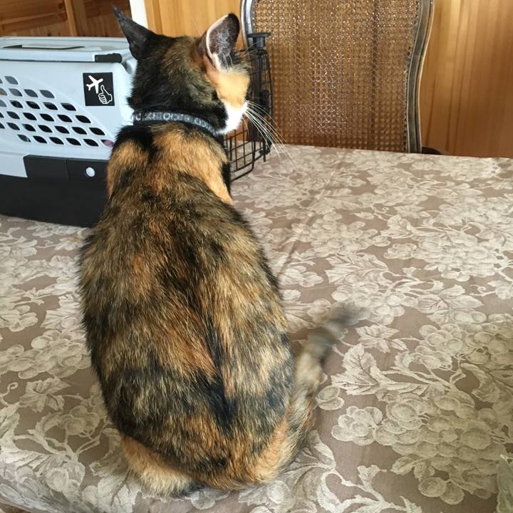 32517f60 ff55 453c af6b c316f57f51b4