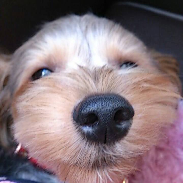 3251906a 3838 47d5 ba9b 9742d6026b91