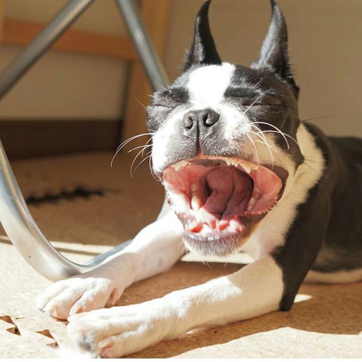 3252c07b fb1c 4159 8ff0 fee4e2ba8f99