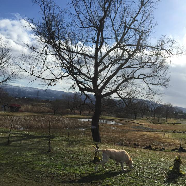 3253e0c7 bff2 49b5 a3eb 8ae8ea28edda