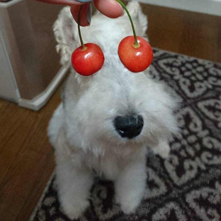 3254922b ca3c 4250 911f 05b4b90d333d