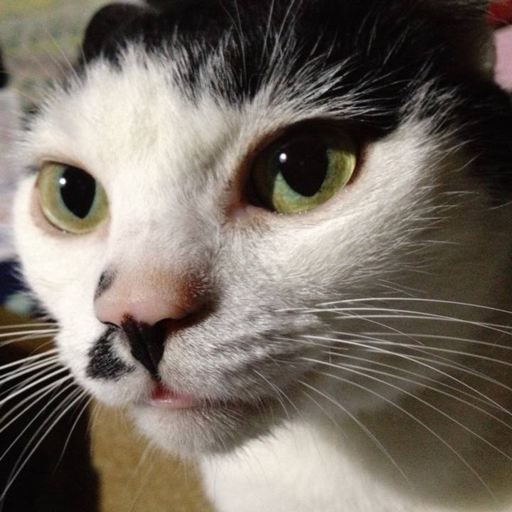 325492c0 25c8 4bf9 99b4 7e6747527d2c