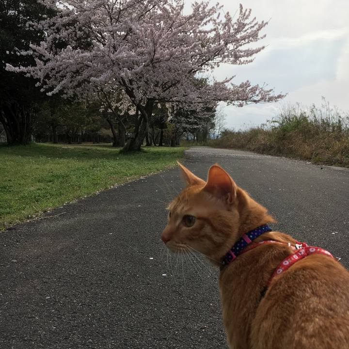 325522c6 5d26 4bbb 881d 18704c8e9fff