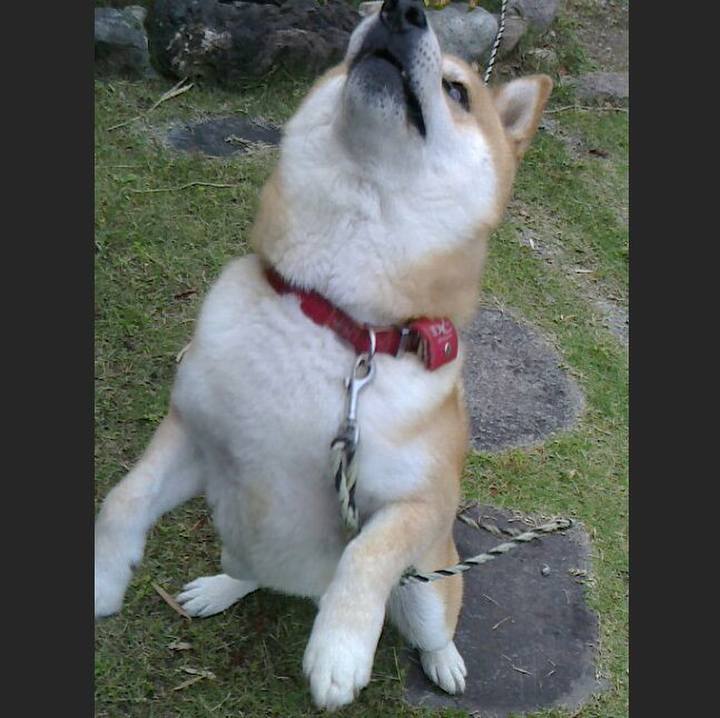 3255e6db a2b3 46f0 a1c5 0127e5b840f5