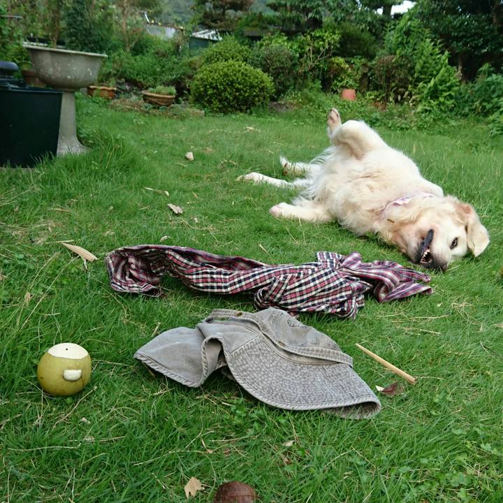 3256a7bd dca7 42e1 a9e1 0e4f07b8e6f4