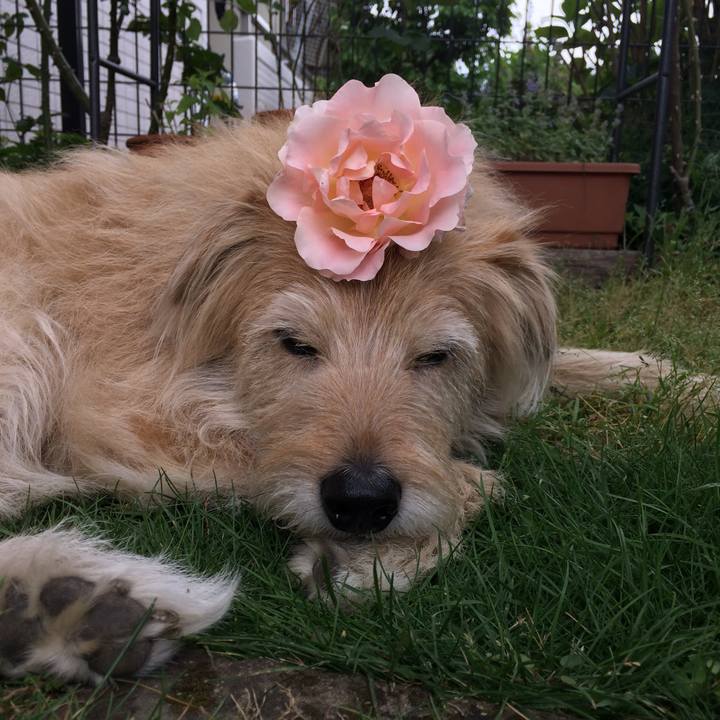 325707a2 524d 47e7 81e7 44eb716b62aa