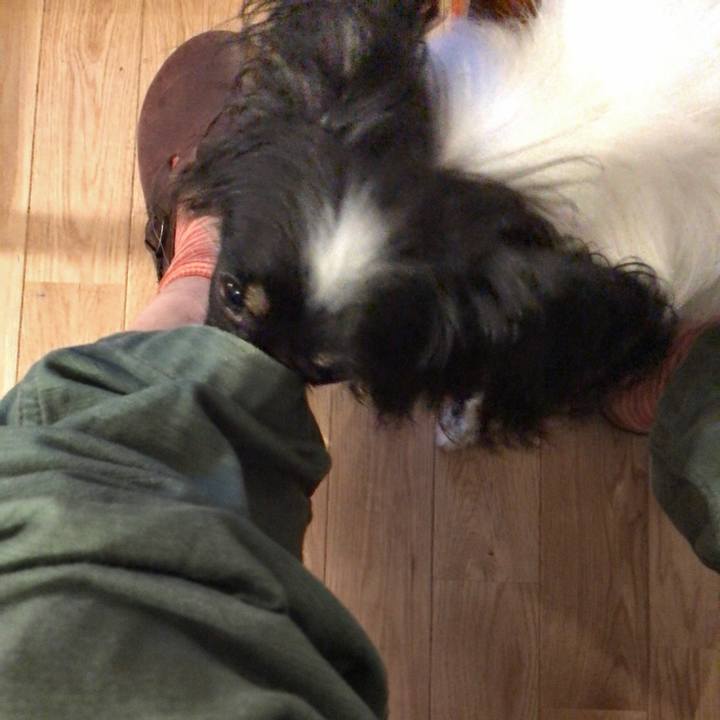 325893af a6ae 4fd8 b5c2 e43222d5c3a8