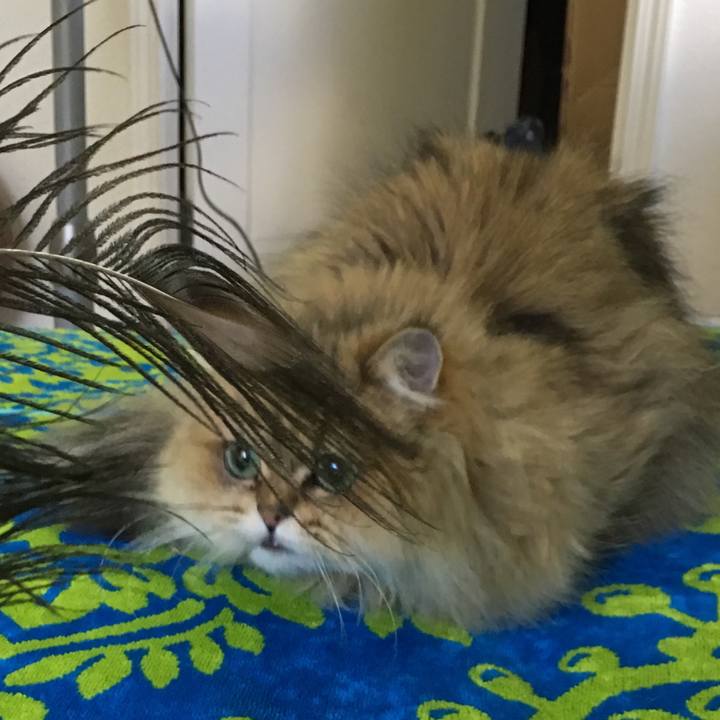 32589aa0 33a5 4e1b 869b fb3a5ed354b6