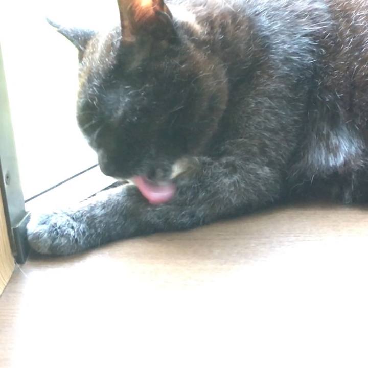 3258c768 784c 4602 9a58 2f6c3997246d