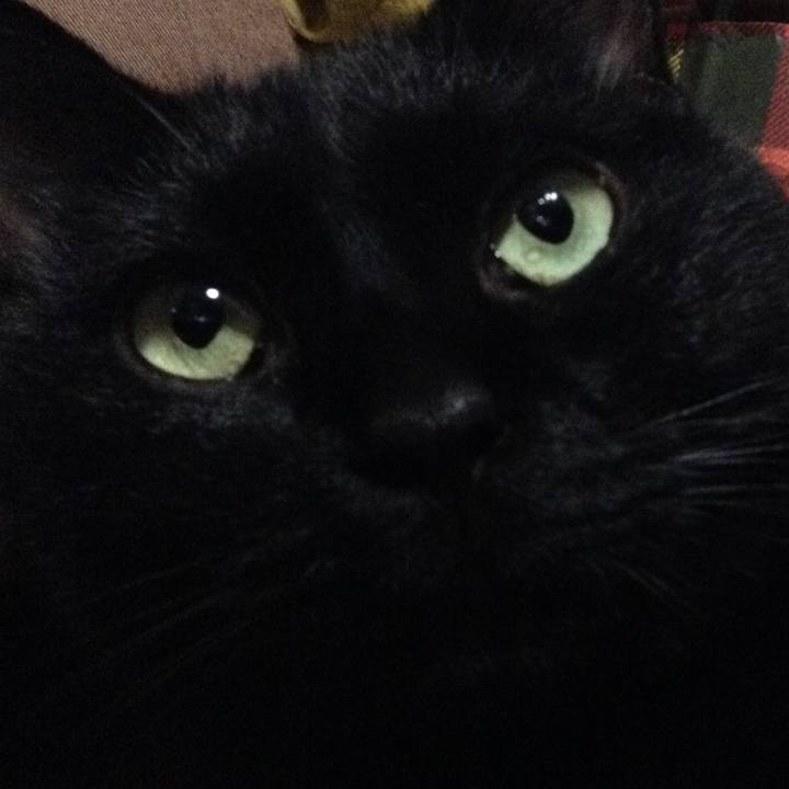 3258d946 6700 41c7 9815 e8f161744bdb