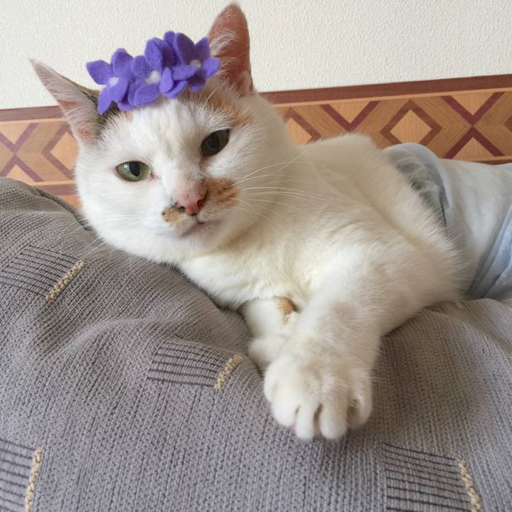 32596f59 0e32 48da 9078 d52d717a31e9