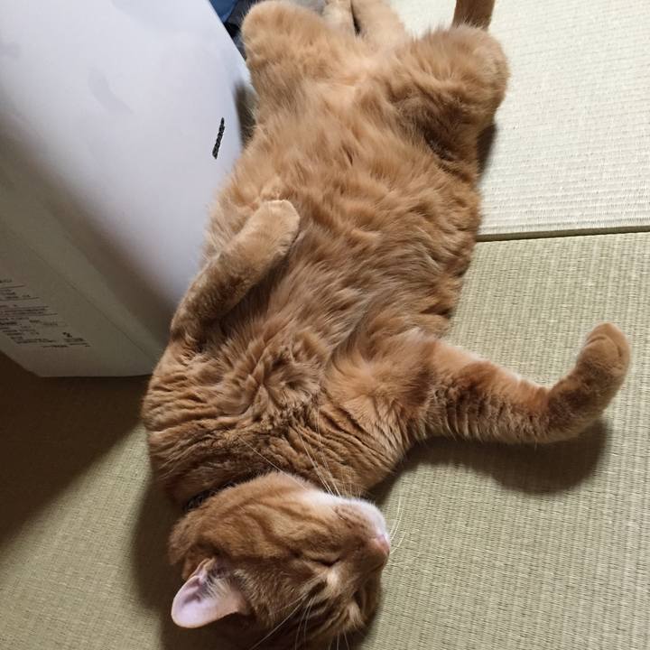 3259a716 fb3e 443a 9515 d285f9763a9e