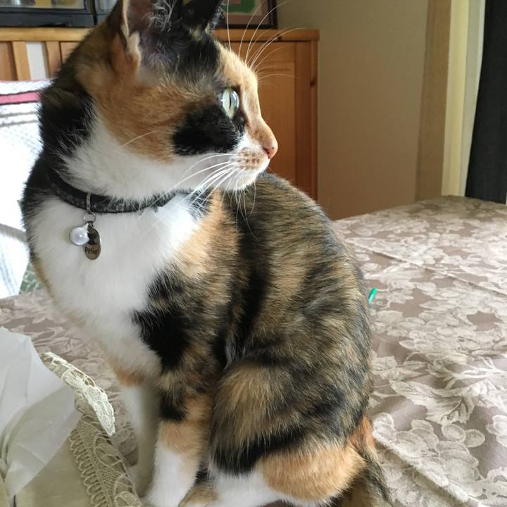 3259b065 e0d1 4e65 8da9 a182b50b06ed