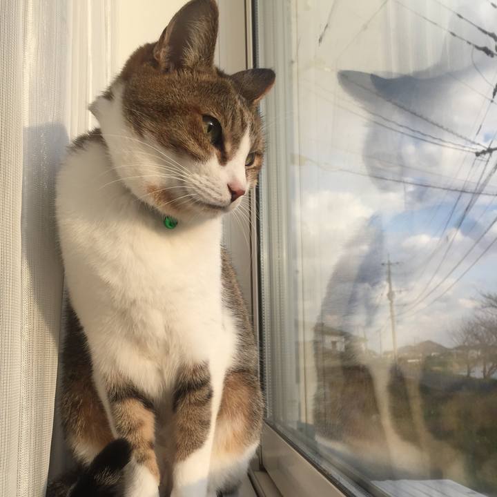 3259f48c 6f91 4476 98ba 635231402749