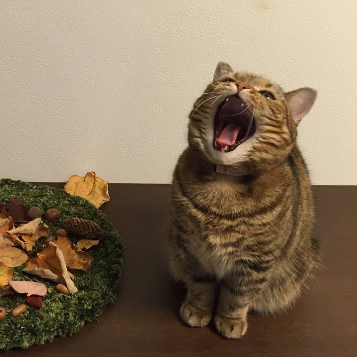 325ae341 1547 4736 8463 481c1771cf46