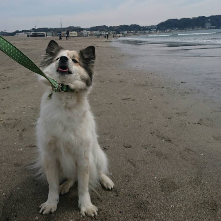 325c5136 7fc9 45f9 850a 8f248a9acdb8