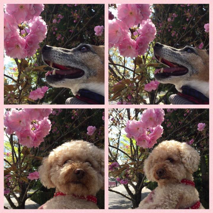 325c6fa6 f310 4d2a 90a6 39294f5a1c23