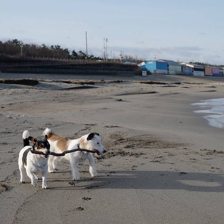 325ca20d 8cc6 4184 b870 b76ab0f2f257