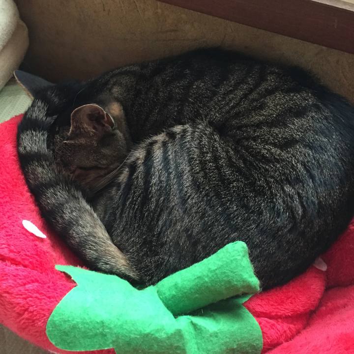 325cc3e6 ccec 41e4 8c14 2bdd2b472b66