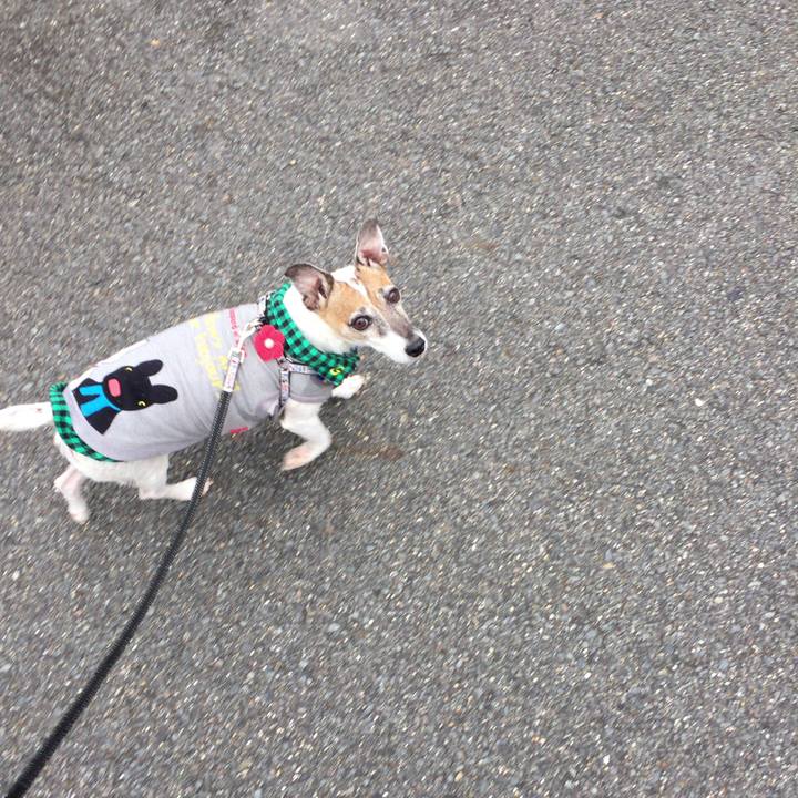 325d00fe 322e 4ff7 b5b9 bca35ff47f73