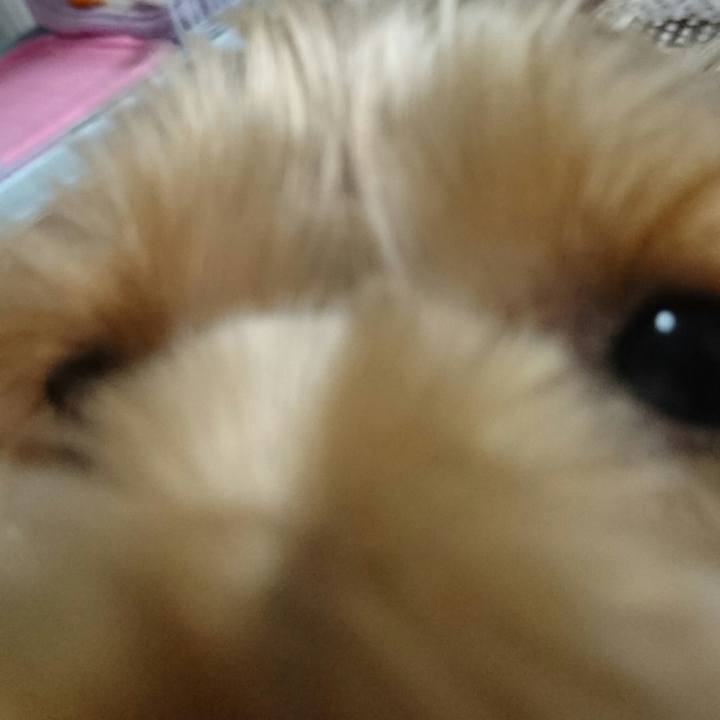 325d72b9 19f3 4733 8960 4288795419bd