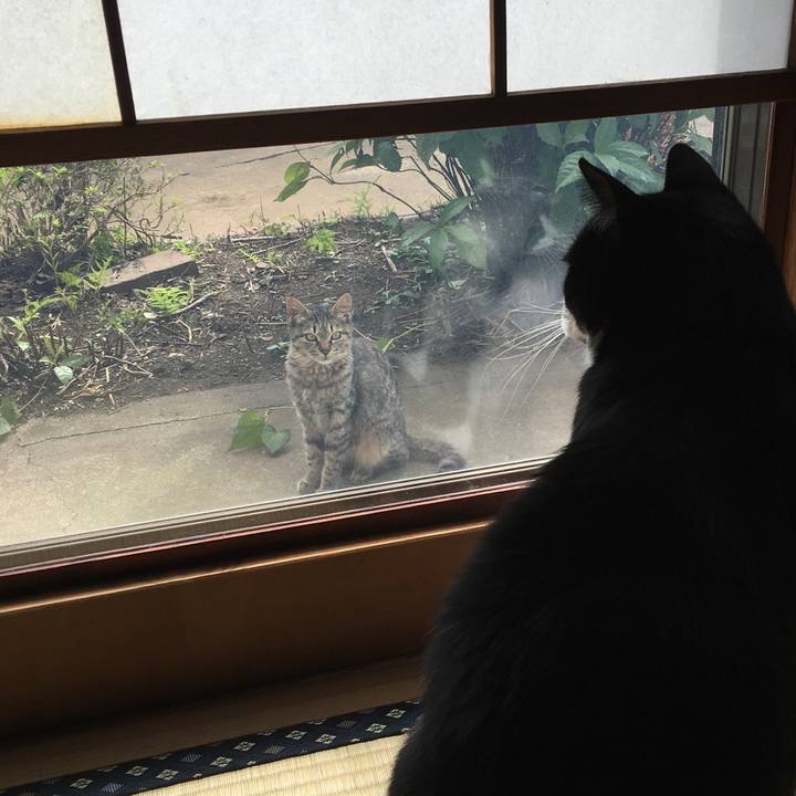 325d7357 68ba 4dd9 9fd5 c19b9e4954c9