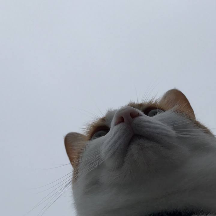 325d84ee f545 4fe5 9a16 2f6d7a1a714a