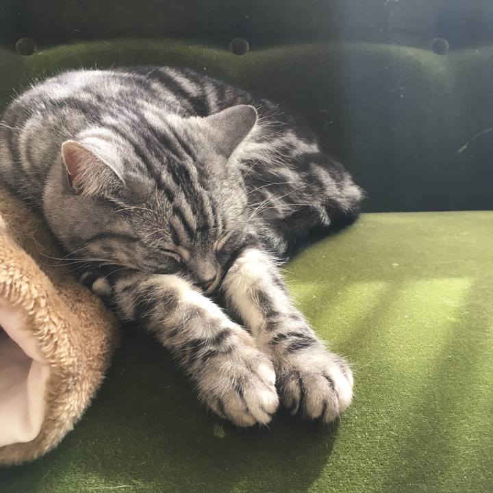 325d8910 7411 474b aaca 2ba6e61854c2