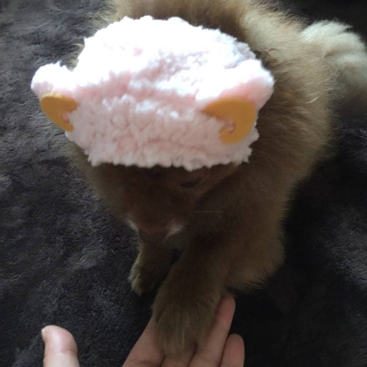 325da3bb 14f3 4760 840f 5ec9478c84bc