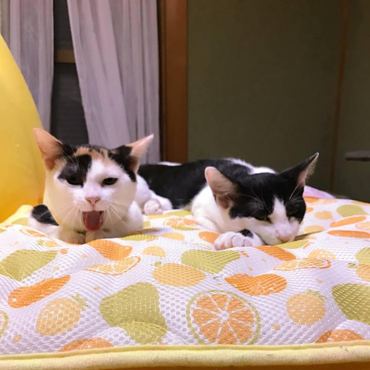 325dd9b9 ef8c 46ca 8c9b f8d3ad2d43f8