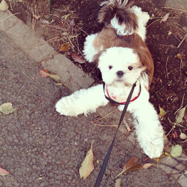 325e37a4 6c97 4afa aeb6 38829027124c