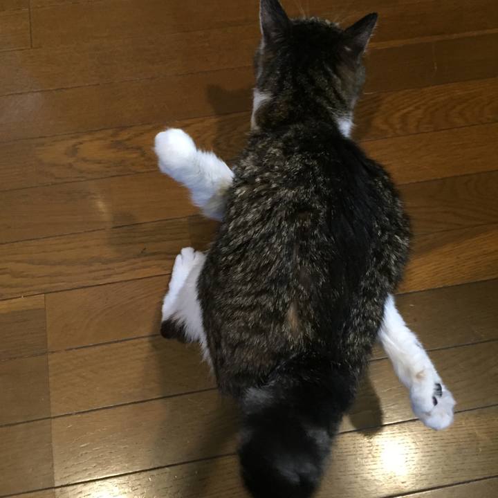 325eb096 733f 436c 97dc 8848d6bdd339