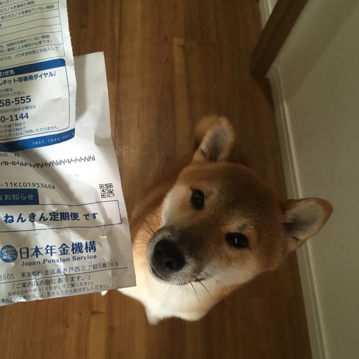 325ec28e 779a 4618 a716 4d94ad6eae2b