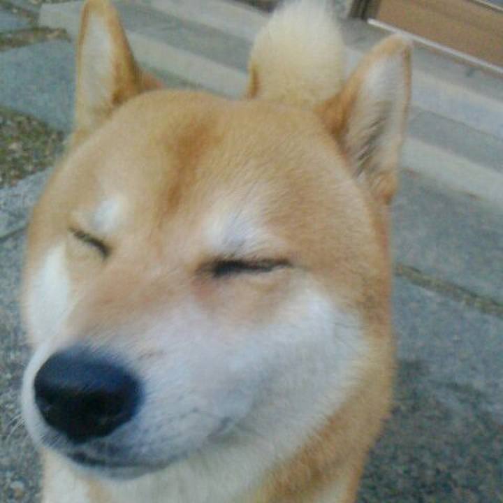 325f9b5a 0d47 4d89 837c a842e51fb391