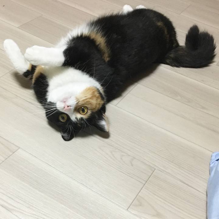 32605da2 94a3 4bfb 9c4d 86205ed52a75