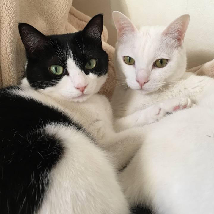 326098b8 05ee 4544 9abe dbba996c56c1