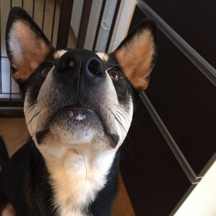 32616e60 1a6e 4b64 8be0 1977b3d12614