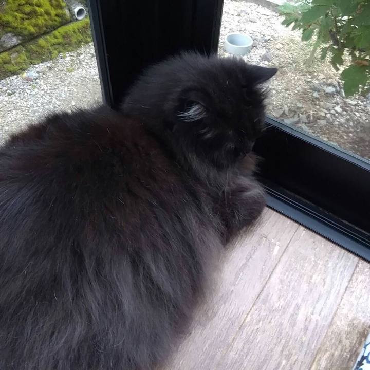 32619ed7 6b39 45a7 bba8 ecf120875419