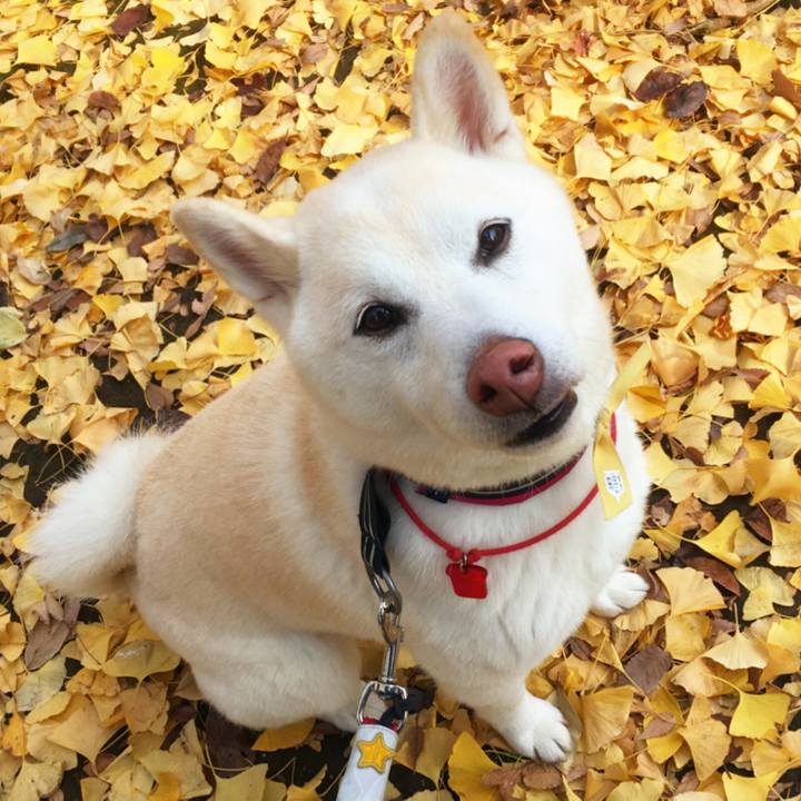 3261b963 5d72 4450 9a50 614b7e3dab66