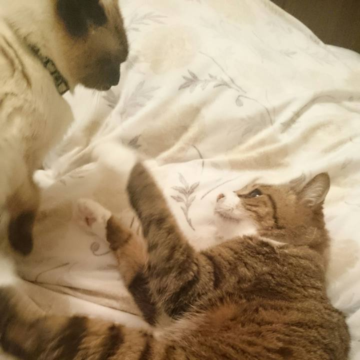 3261cca1 eb58 4fbb bbb7 afa74809afb3