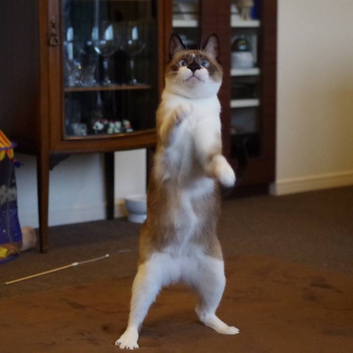 3261f4e0 3f7e 4bf3 a76f b58422c7a133