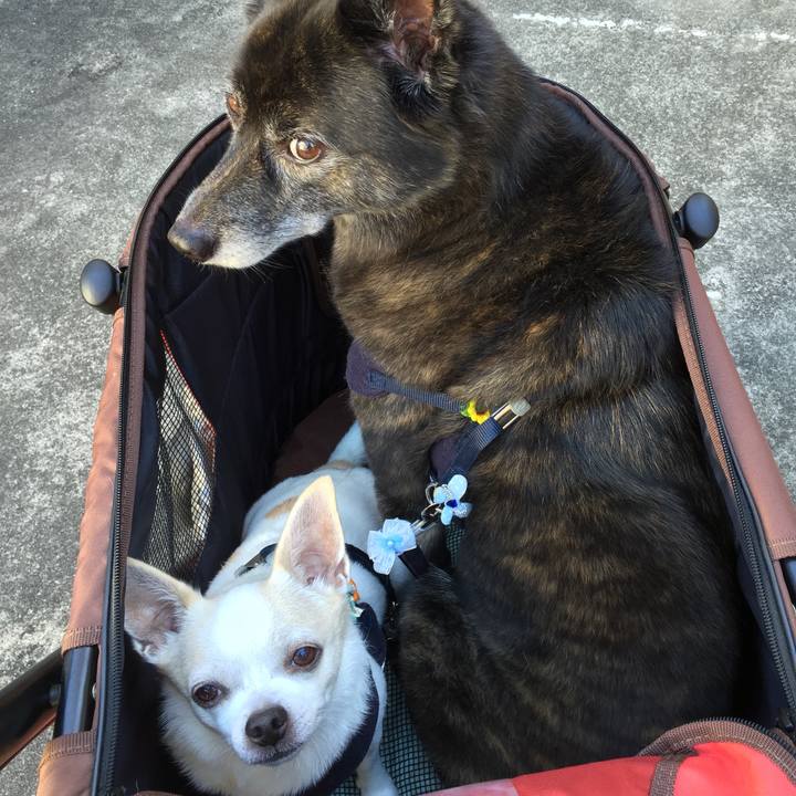 32624243 a1e6 4d53 b665 cfa3250bbdaa