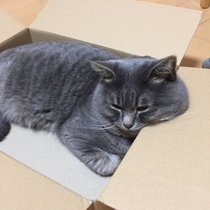 3263107d 07bf 43b1 945b d3e866658dbf