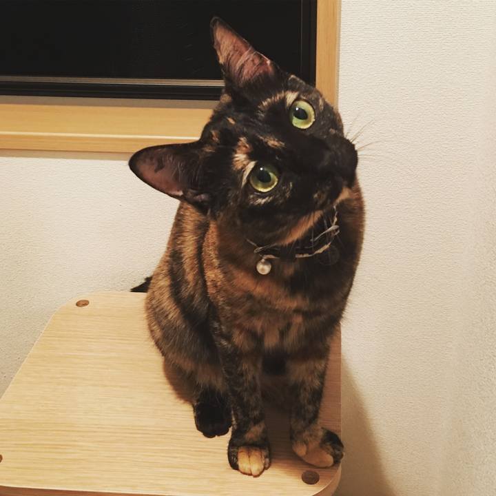 3263215e b4fc 421c a53e da6dd777daa9