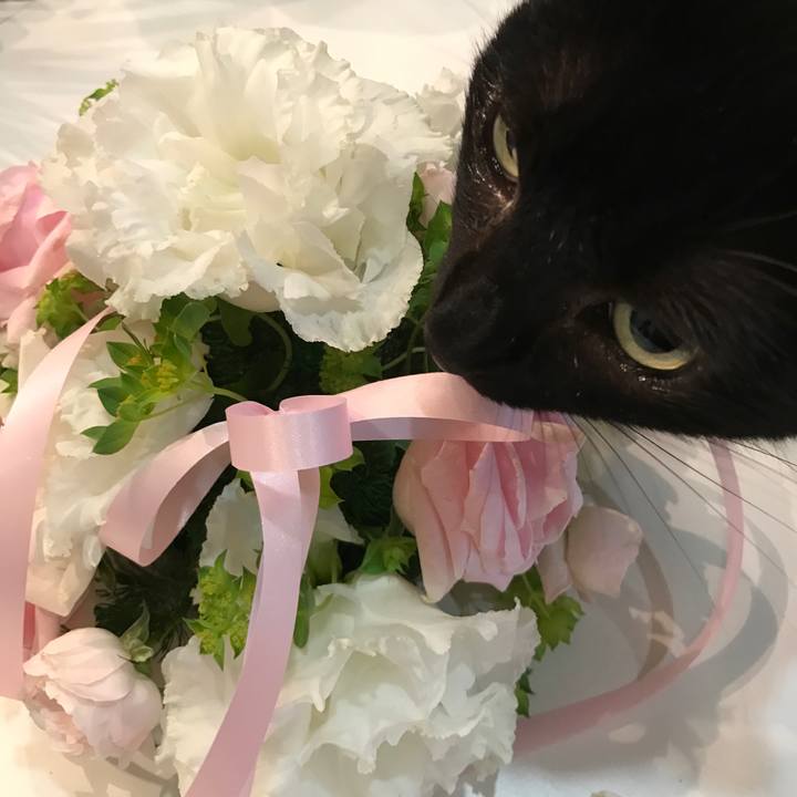 32633701 1bf0 4e69 9957 15ac4d9a6e07